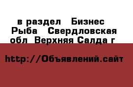  в раздел : Бизнес » Рыба . Свердловская обл.,Верхняя Салда г.